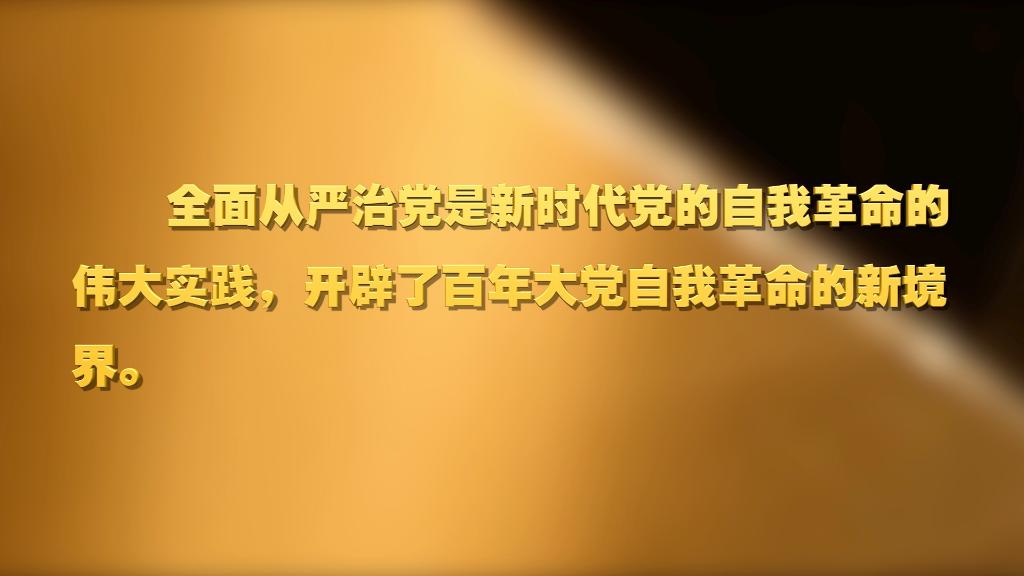 劃重點(diǎn)！十九屆中央紀(jì)委六次全會 習(xí)近平提出這些要求