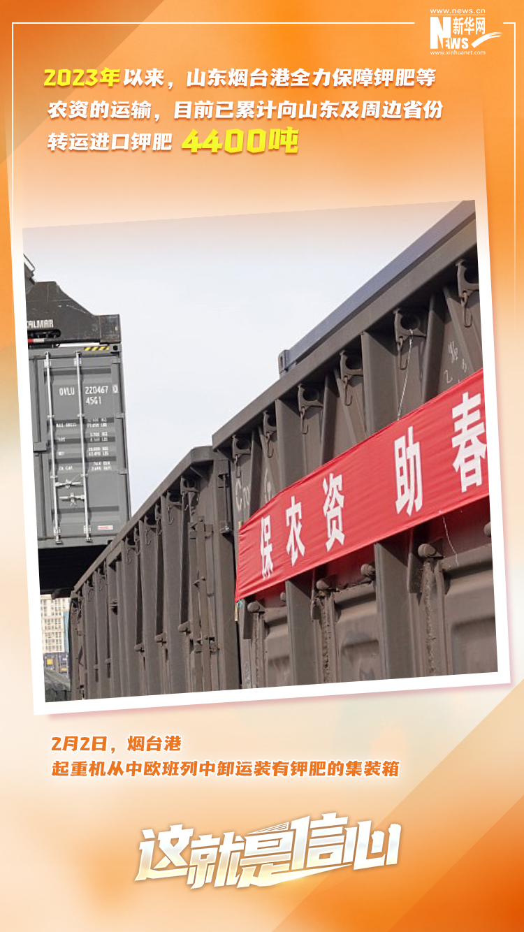 這就是信心｜實(shí)干爭春早，外貿(mào)樞紐貨運(yùn)忙