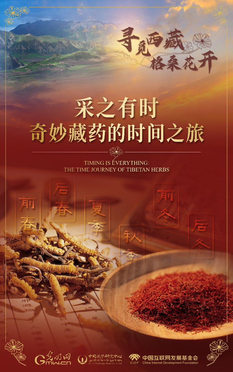 【尋覓西藏·格?；ㄩ_】采之有時：奇妙藏藥的時間之旅