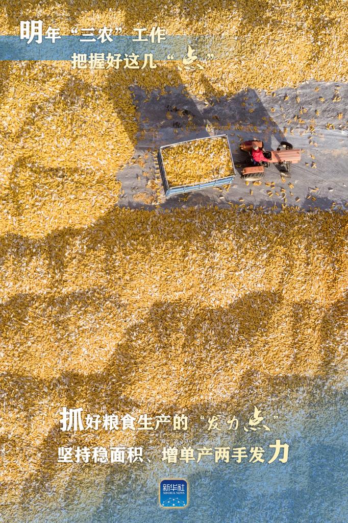 明年“三農(nóng)”工作，這幾個“點”要把握好