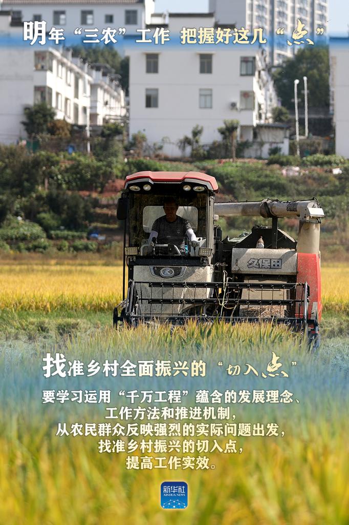 明年“三農(nóng)”工作，這幾個“點”要把握好