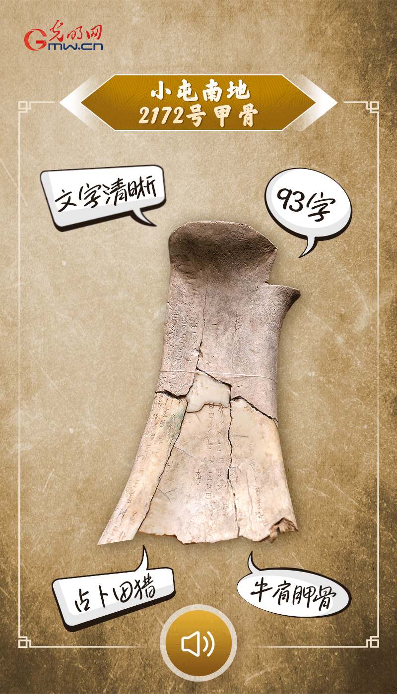 文物會(huì)說(shuō)話 | 殷墟博物館新館開(kāi)館啦，帶你奔赴“千年之約”