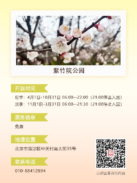 追花指南第六期！杏花雨 楊柳風(fēng) 北京最美的杏花在這里