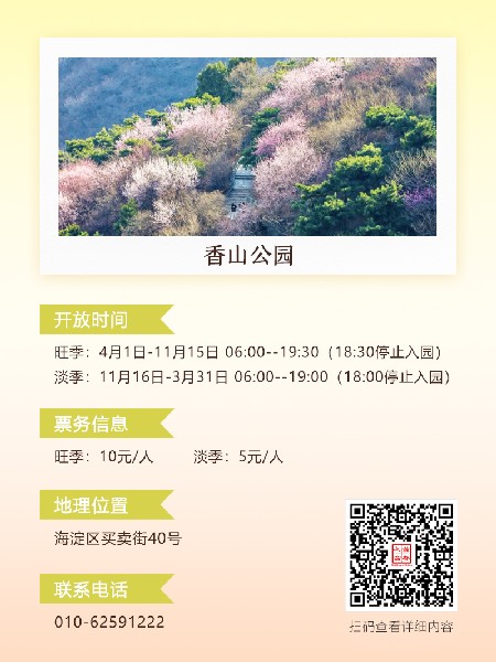 追花指南第六期！杏花雨 楊柳風(fēng) 北京最美的杏花在這里