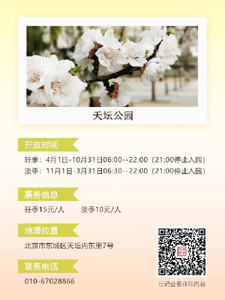 追花指南第六期！杏花雨 楊柳風(fēng) 北京最美的杏花在這里