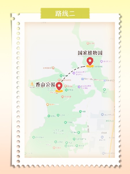 追花指南第六期！杏花雨 楊柳風(fēng) 北京最美的杏花在這里