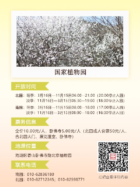 追花指南第六期！杏花雨 楊柳風(fēng) 北京最美的杏花在這里