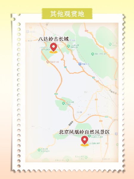 追花指南第六期！杏花雨 楊柳風(fēng) 北京最美的杏花在這里