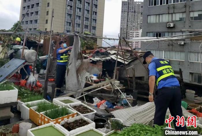 在一處居民樓屋頂，城管隊(duì)員拆除“空中菜園”?！〗疖?攝