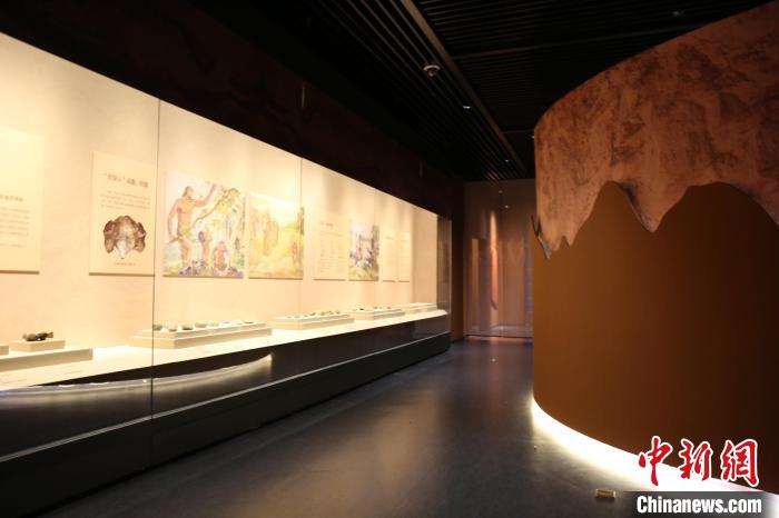 展覽展出了周口店遺址的139件(套)文物。　太原市博物館供圖