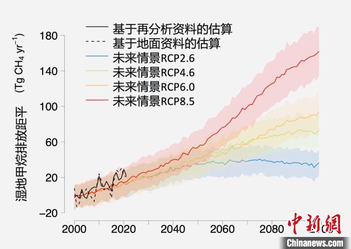 基于觀測的濕地甲烷排放變化與未來氣候變化情景下估算的對比?！≈锌圃呵嗖馗咴?供圖