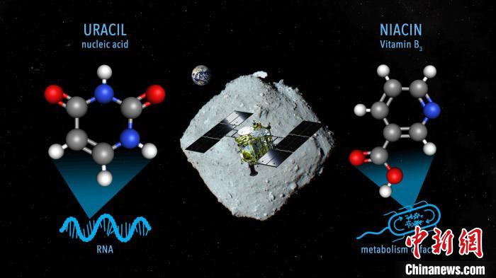 國際最新研究稱,近地小行星“龍宮”上發(fā)現尿嘧啶等核酸堿基