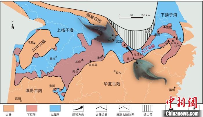 華南地區(qū)志留紀早期古地理圖和盔甲魚類化石產(chǎn)地(山顯任改自陳旭、戎嘉余，1996；戎嘉余等，2012) 中科院古脊椎所 供圖