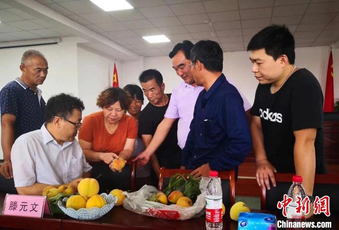 民進(jìn)浙江省委會(huì)為三里橋黃桃種植戶送技術(shù)、送指導(dǎo)?！〖紊平y(tǒng)戰(zhàn) 供圖