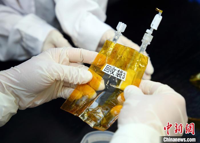 隨神舟十五號返回地面的空間科學(xué)實驗樣品?！≈锌圃嚎臻g應(yīng)用中心 供圖