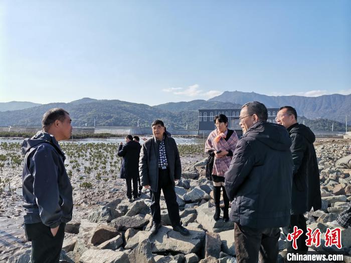 浙江海洋生態(tài)觀察：智慧大腦如何解鎖藍(lán)色發(fā)展密碼？