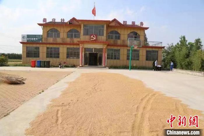 農(nóng)民在邳莊鎮(zhèn)尚莊村黨群服務(wù)中心大院里曬糧?！≠Z萌 攝