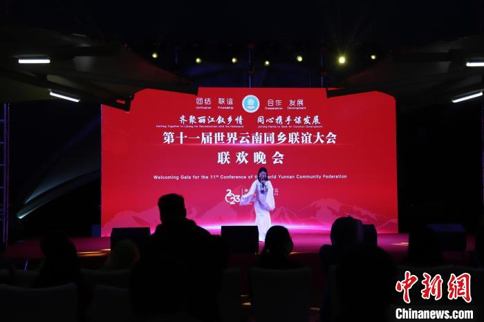 圖為第十一屆世界云南同鄉(xiāng)聯(lián)誼大會(huì)舉辦聯(lián)歡晚會(huì)。　崔永江 攝