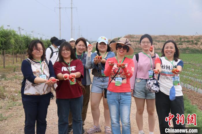 圖為臺胞體驗大美內(nèi)蒙古?！⊥袐I供圖