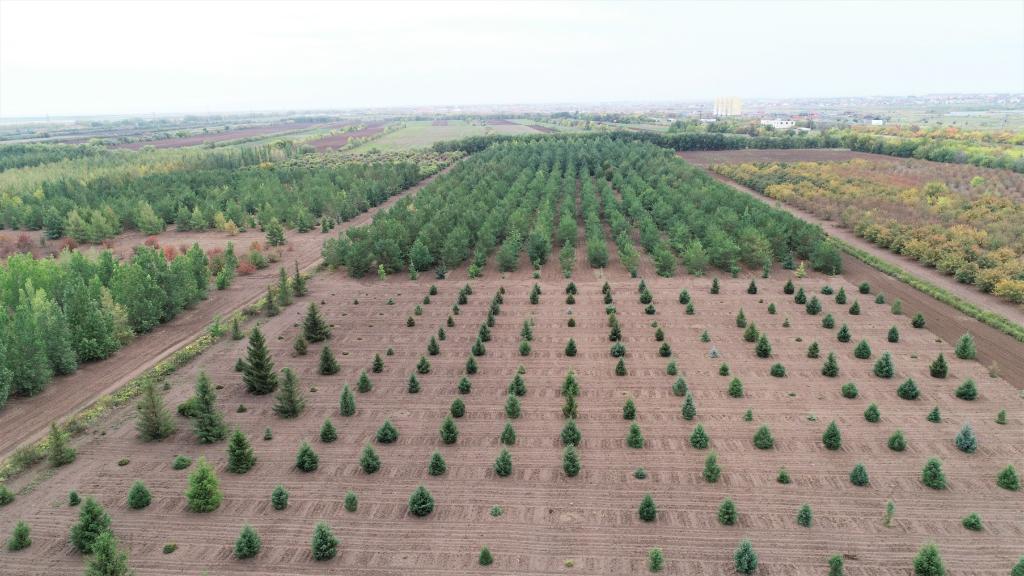 這是2023年9月11日在哈薩克斯坦首都阿斯塔納拍攝的一處植物種質(zhì)資源苗圃（無人機(jī)照片）。新華社發(fā)（法爾哈特·圖克諾夫 攝）