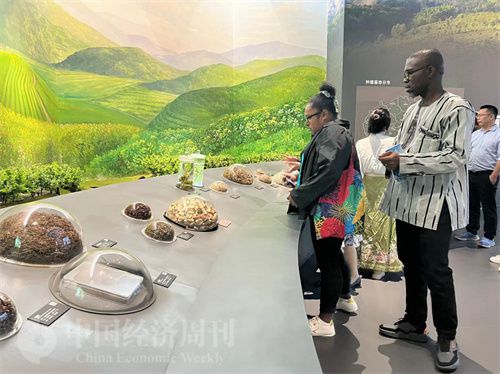   （在中國藥都中醫(yī)藥博物館，外媒記者了解中醫(yī)藥發(fā)展史。中國經(jīng)濟(jì)周刊記者 郭志強(qiáng) 攝）