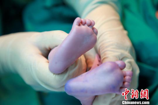 資料圖。簡(jiǎn)文楊 攝