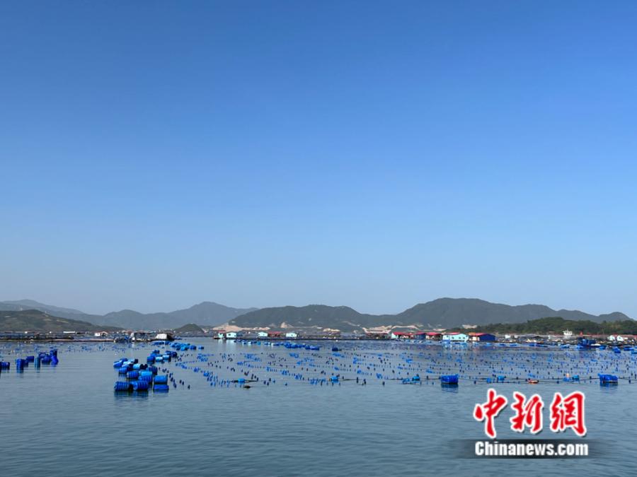 霞浦縣海上魚排。<a target='_blank' href='/' ><p  align=