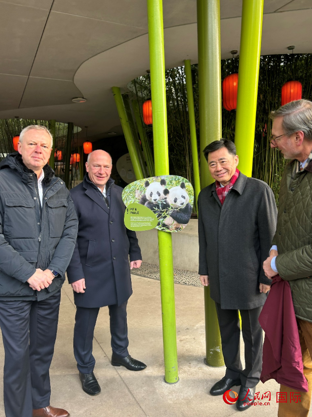中國(guó)駐德國(guó)大使吳懇（右二）、柏林市長(zhǎng)韋格納（左二）、動(dòng)物園園長(zhǎng)克尼里姆（右一）和監(jiān)事會(huì)主席布魯克曼（左一）共同為“夢(mèng)想”“夢(mèng)圓”大熊貓紀(jì)念牌揭幕。人民網(wǎng)記者 徐馨攝