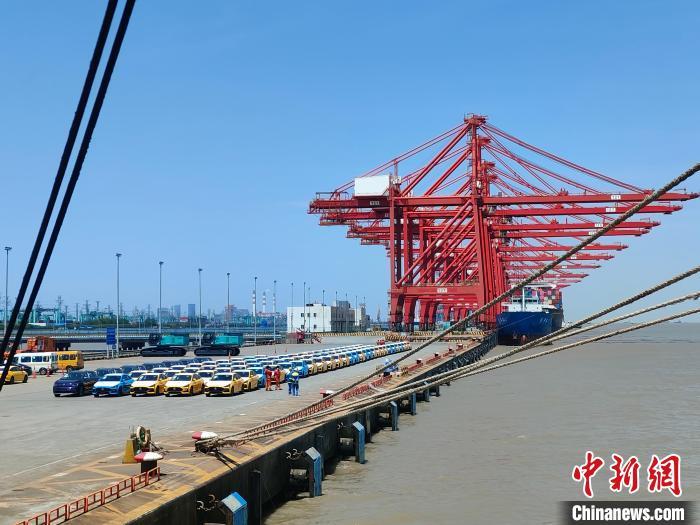 資料圖：國產(chǎn)新能源車在上海外高橋港區(qū)海通碼頭“整裝待發(fā)”?！∑址?攝