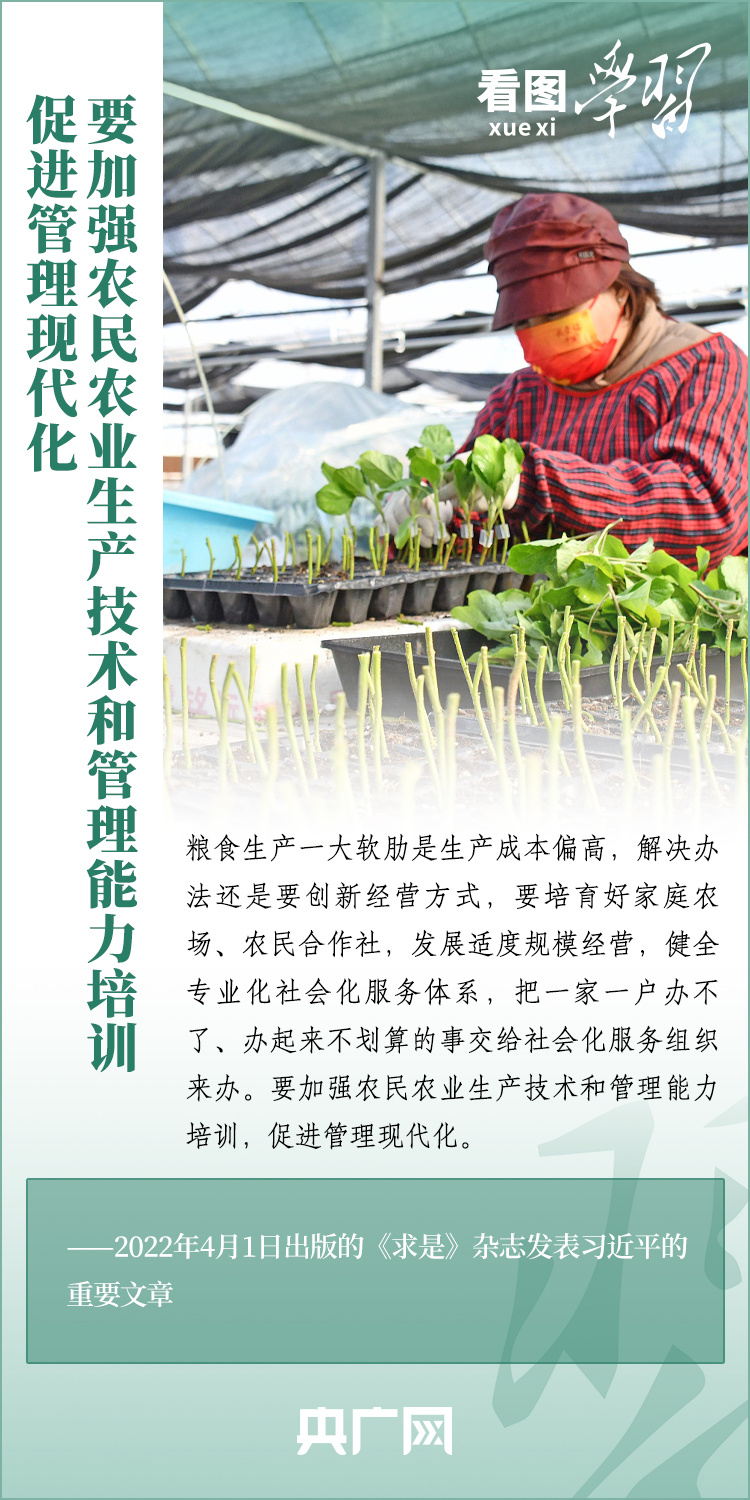 看圖學(xué)習(xí)丨推廣良田、良種、良法、良機(jī) 給農(nóng)業(yè)現(xiàn)代化插上科技的翅膀