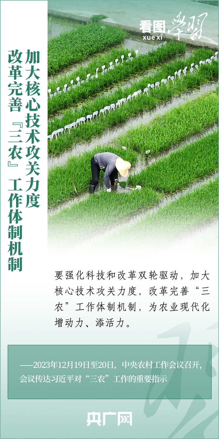 看圖學(xué)習(xí)丨推廣良田、良種、良法、良機(jī) 給農(nóng)業(yè)現(xiàn)代化插上科技的翅膀