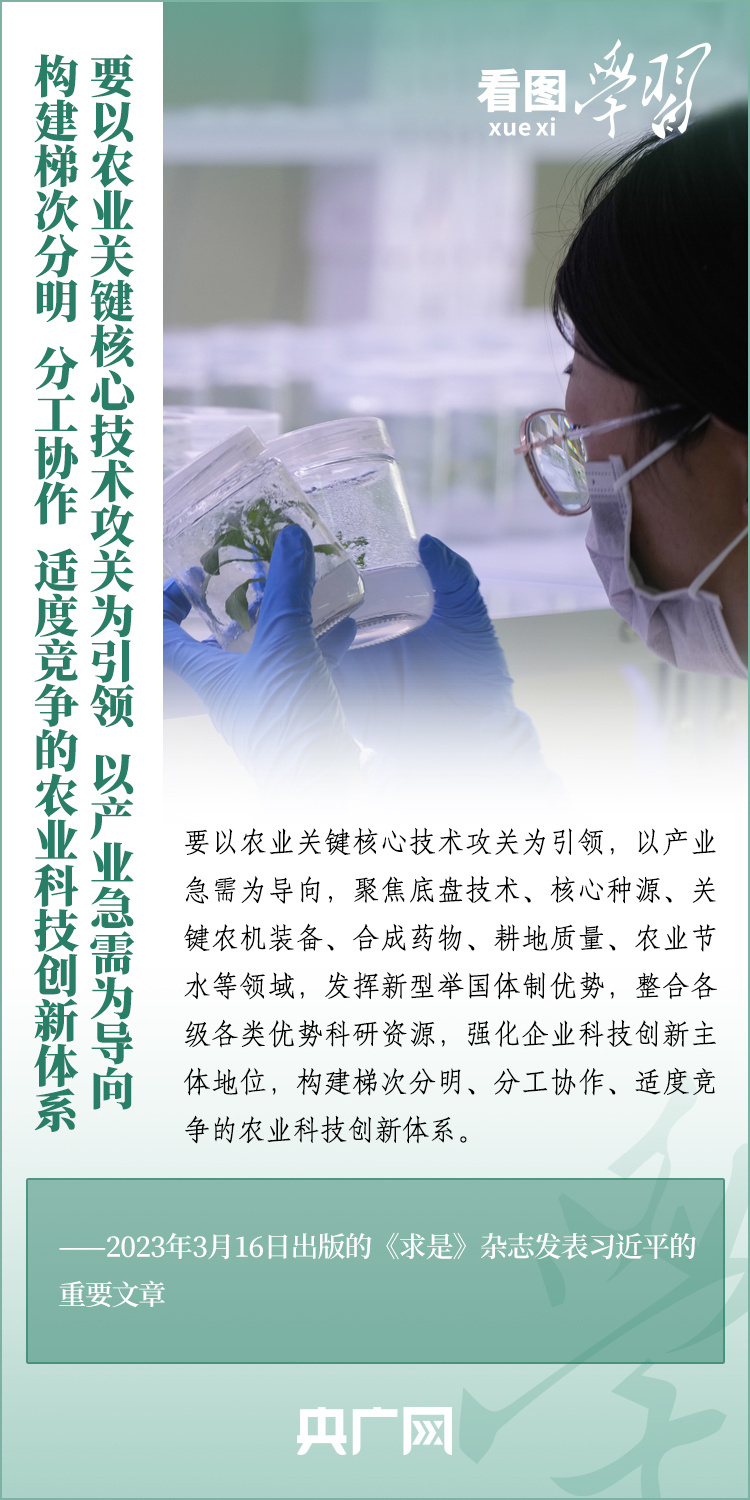 看圖學(xué)習(xí)丨推廣良田、良種、良法、良機(jī) 給農(nóng)業(yè)現(xiàn)代化插上科技的翅膀