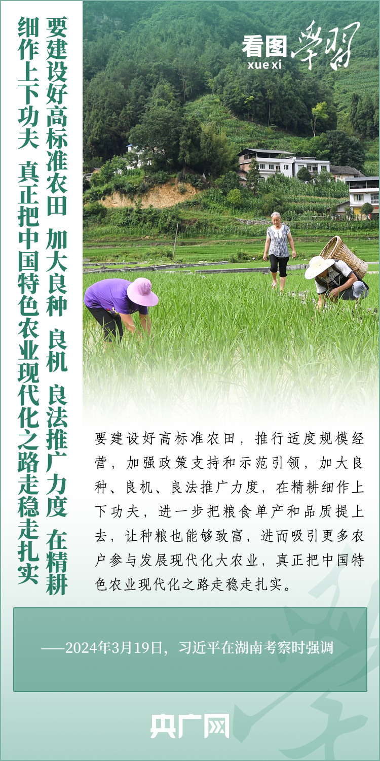 看圖學(xué)習(xí)丨推廣良田、良種、良法、良機(jī) 給農(nóng)業(yè)現(xiàn)代化插上科技的翅膀