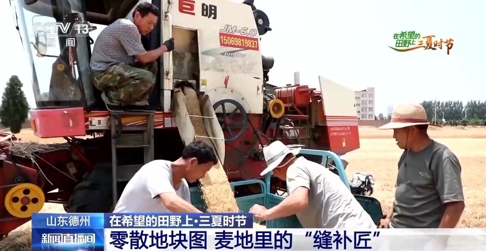 “三夏”生產(chǎn)思維導(dǎo)圖安排上了！還有政府大院等你來(lái)“曬”