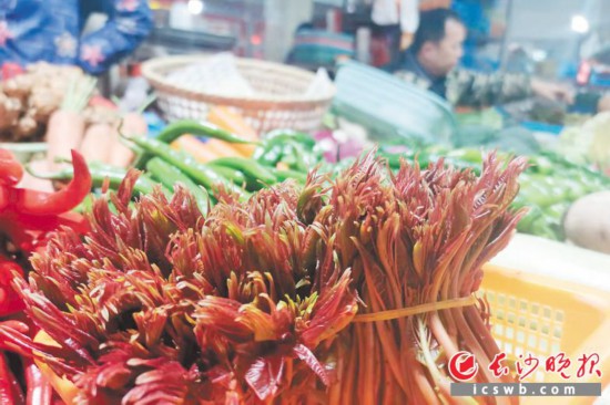　　農(nóng)貿(mào)市場里鮮嫩的香椿。　　均為長沙晚報全媒體記者 劉捷萍 攝