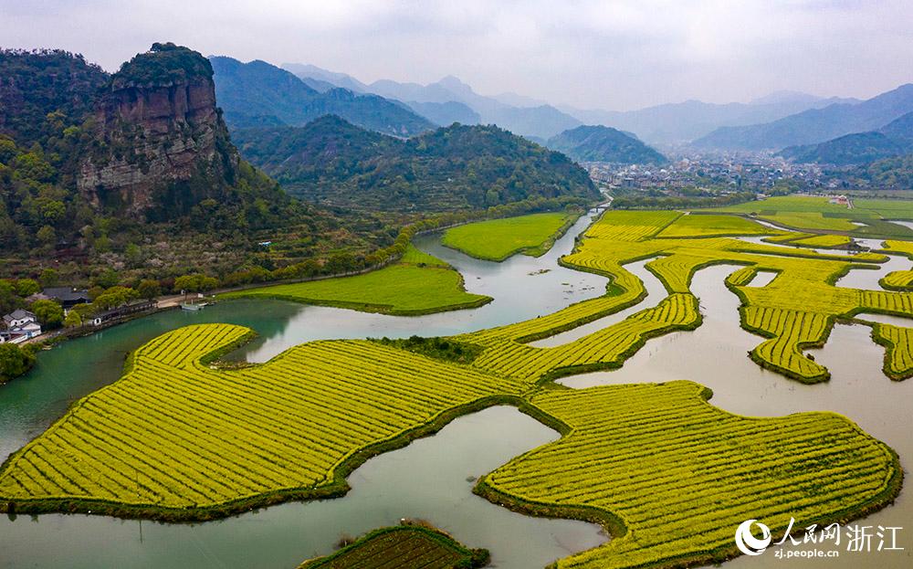3月28日，航拍浙江省臨海市桃渚鎮(zhèn)桃江十三渚盛開(kāi)的油菜花景色。人民網(wǎng) 章勇濤攝