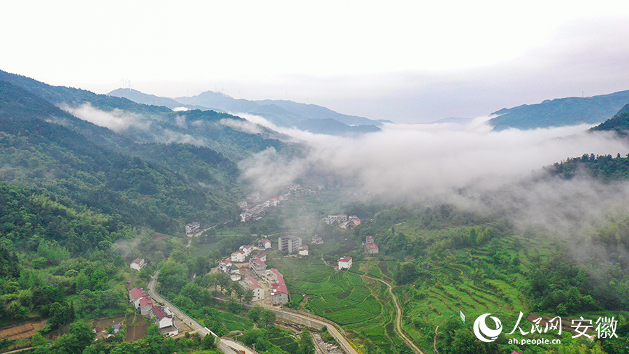 雨后的金寨大灣村，云霧環(huán)繞，宛如一幅田園山水畫卷。人民網(wǎng) 張俊攝