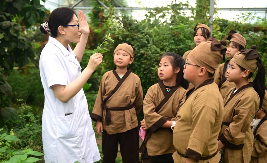 參加活動(dòng)的孩子聆聽滄州市人民醫(yī)院國醫(yī)館中醫(yī)對中藥材的講解。 傅新春攝