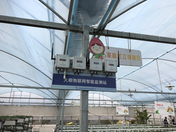 都市四季果園內(nèi)的物聯(lián)網(wǎng)智能監(jiān)測站系統(tǒng)。東?？h委宣傳部供圖
