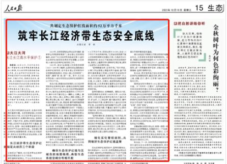 人民日報。截圖