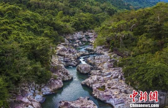 2018年海南生態(tài)環(huán)境狀況等級為“優(yōu)”，植被覆蓋率高，生物多樣性豐富，生態(tài)系統(tǒng)穩(wěn)定，圖為海南中部熱帶雨林?！●樤骑w　攝