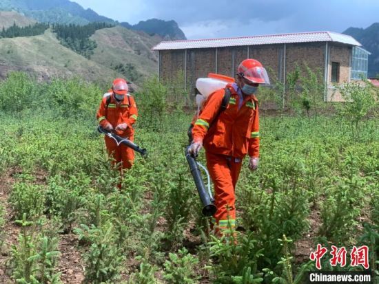 圖為觀摩會現(xiàn)場背負式電動噴霧演練。　李江寧　攝 　　