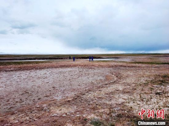 圖為救援力量在青海省西部搜救失聯(lián)的江蘇南京某大學(xué)女生黃某某。海西州藍(lán)天應(yīng)急救援中心 供圖