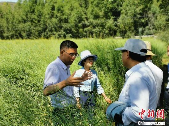 圖為九三學社青海省委主委杜德志(左一)在基層調研。受訪者供圖