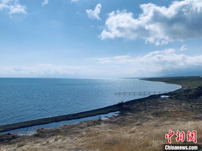 圖為青海湖畔。(資料圖) 張傲 攝
