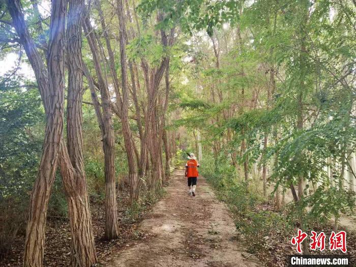 戈壁灘上的護(hù)林員：以前風(fēng)吹睜不開眼，現(xiàn)在滿眼皆綠色