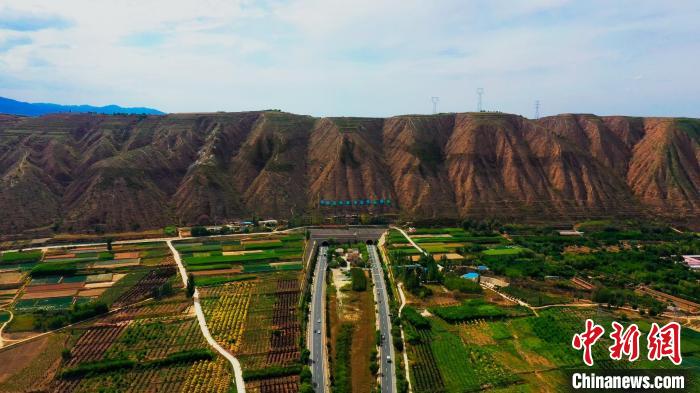 甘肅榆中造養(yǎng)結(jié)合十數(shù)年荒山改綠野生動物常“露面”