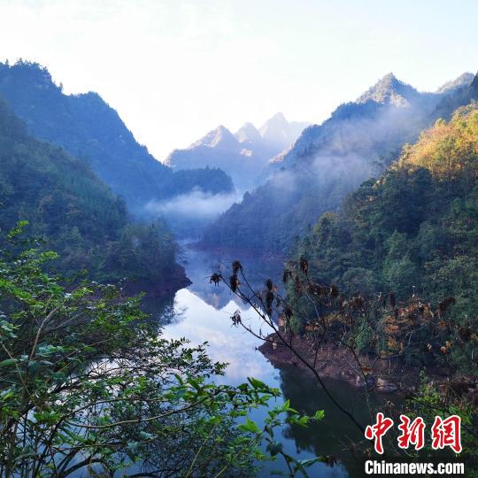 黃荊老林自然保護(hù)中心成立探索生態(tài)保護(hù)與社區(qū)經(jīng)濟發(fā)展平衡