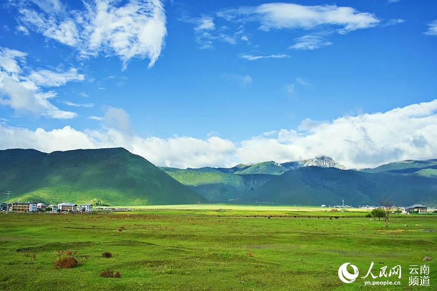 納帕海濕地風(fēng)景。呂昊辰攝