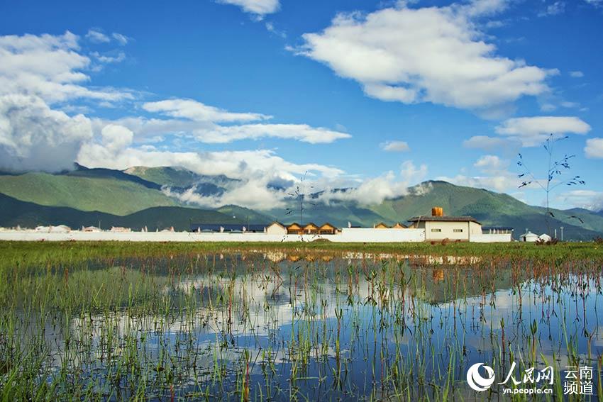納帕海濕地風(fēng)景。呂昊辰攝